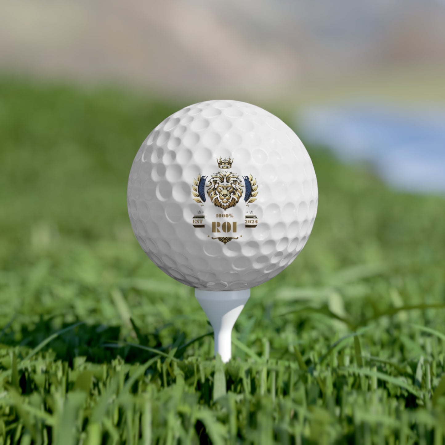 1000%ROI Golf Balls (6)
