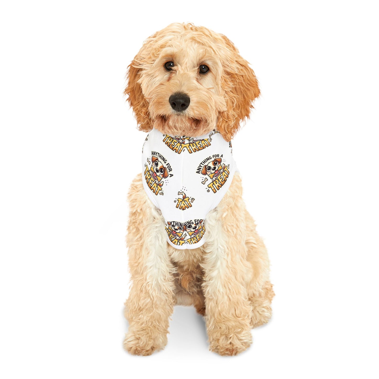 Anything For A Treat Pet Hoodie (2)