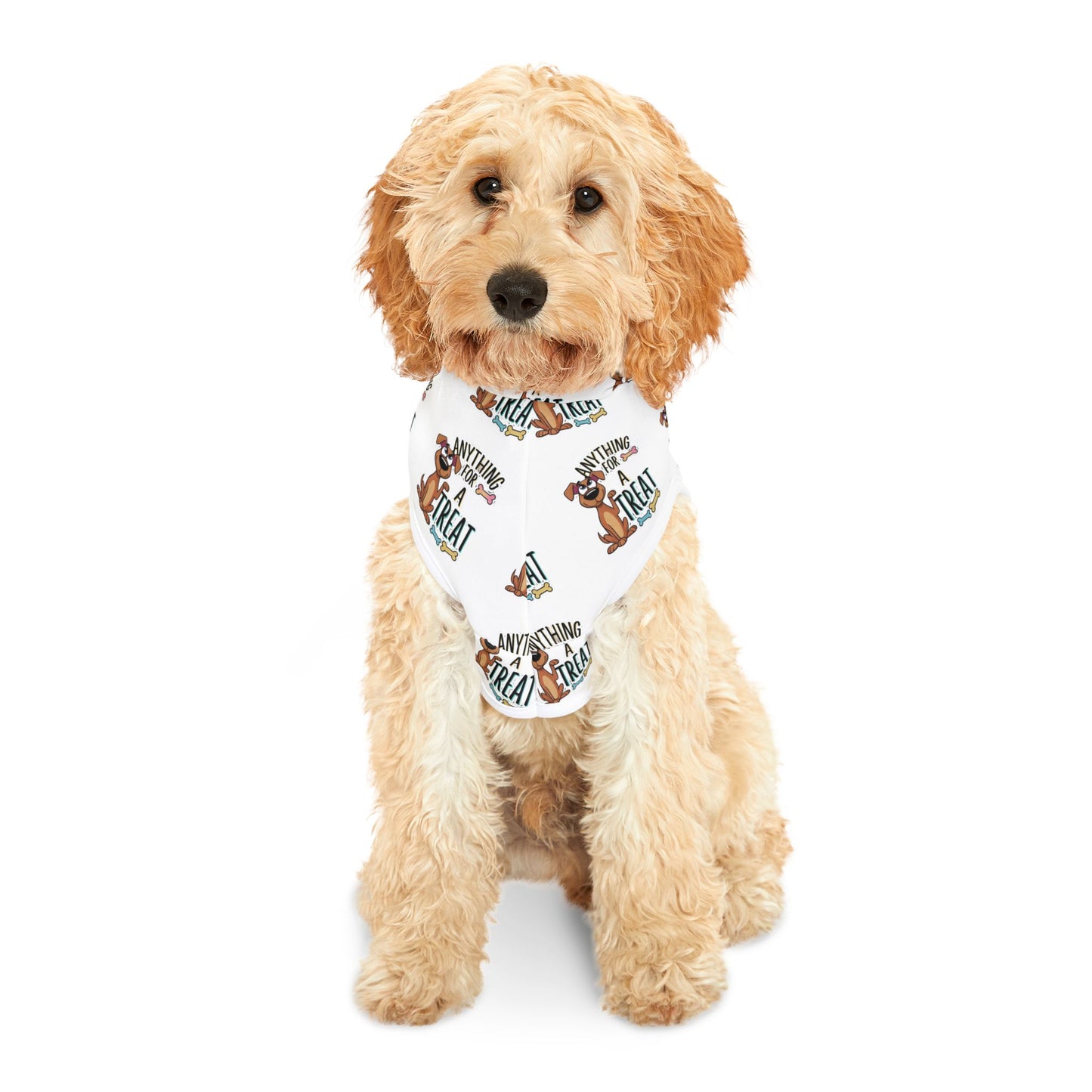 Anything For A Treat Pet Hoodie (3)