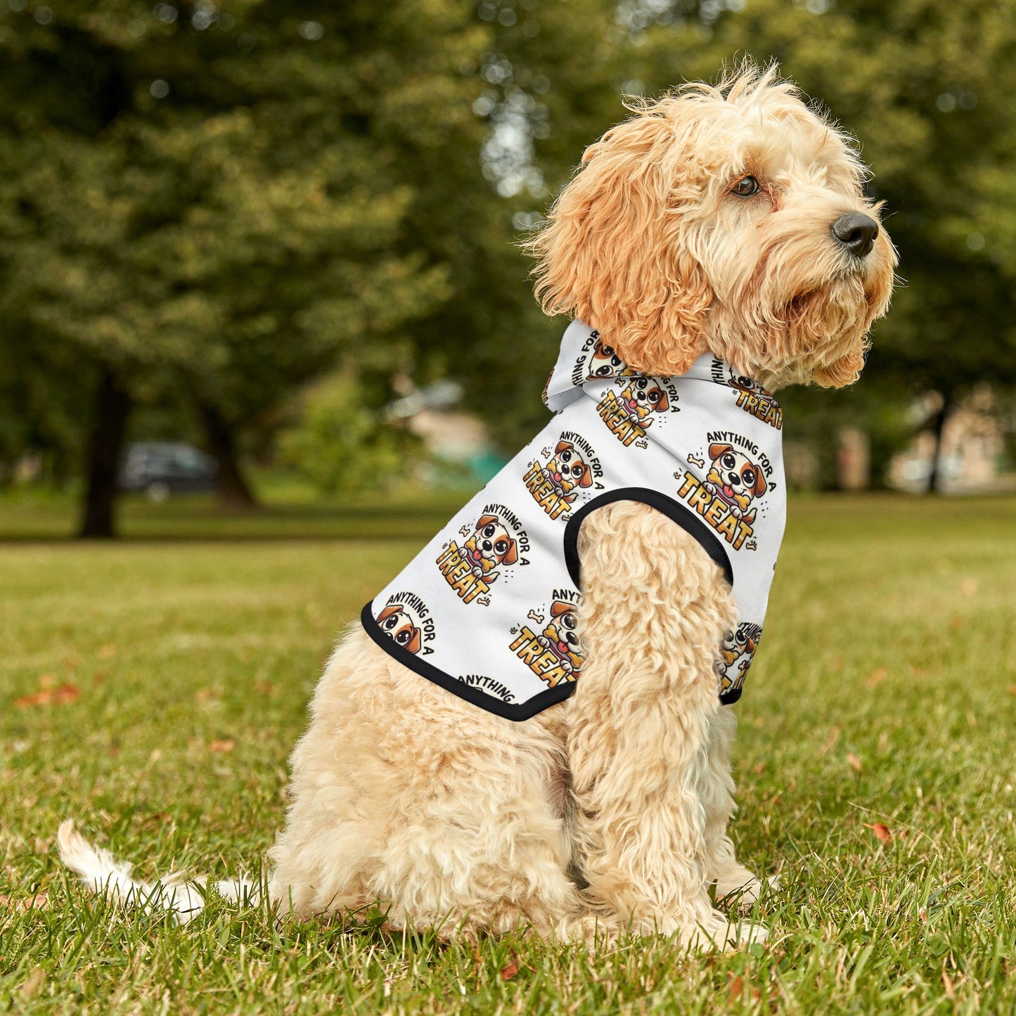 Anything For A Treat Pet Hoodie (2)