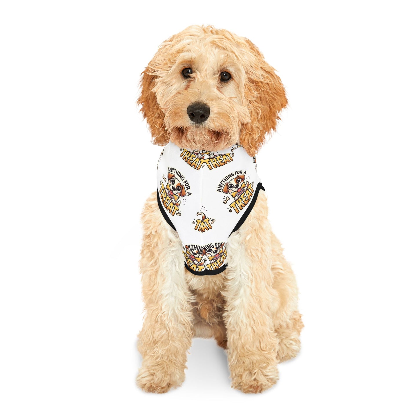 Anything For A Treat Pet Hoodie (2)