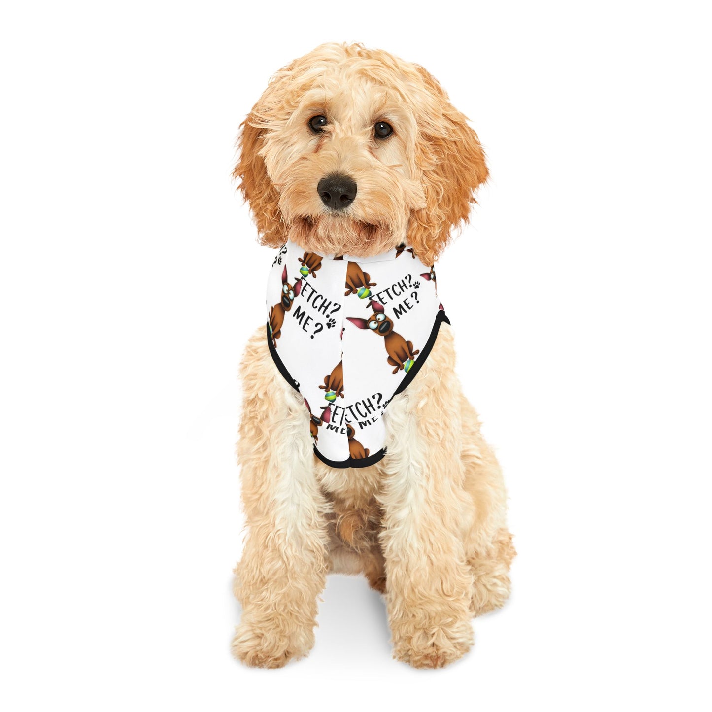 Fetch? Me? Pet Hoodie (2)