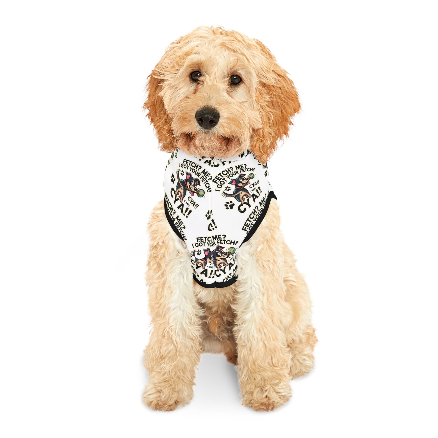 Fetch? Me? Pet Hoodie (1)