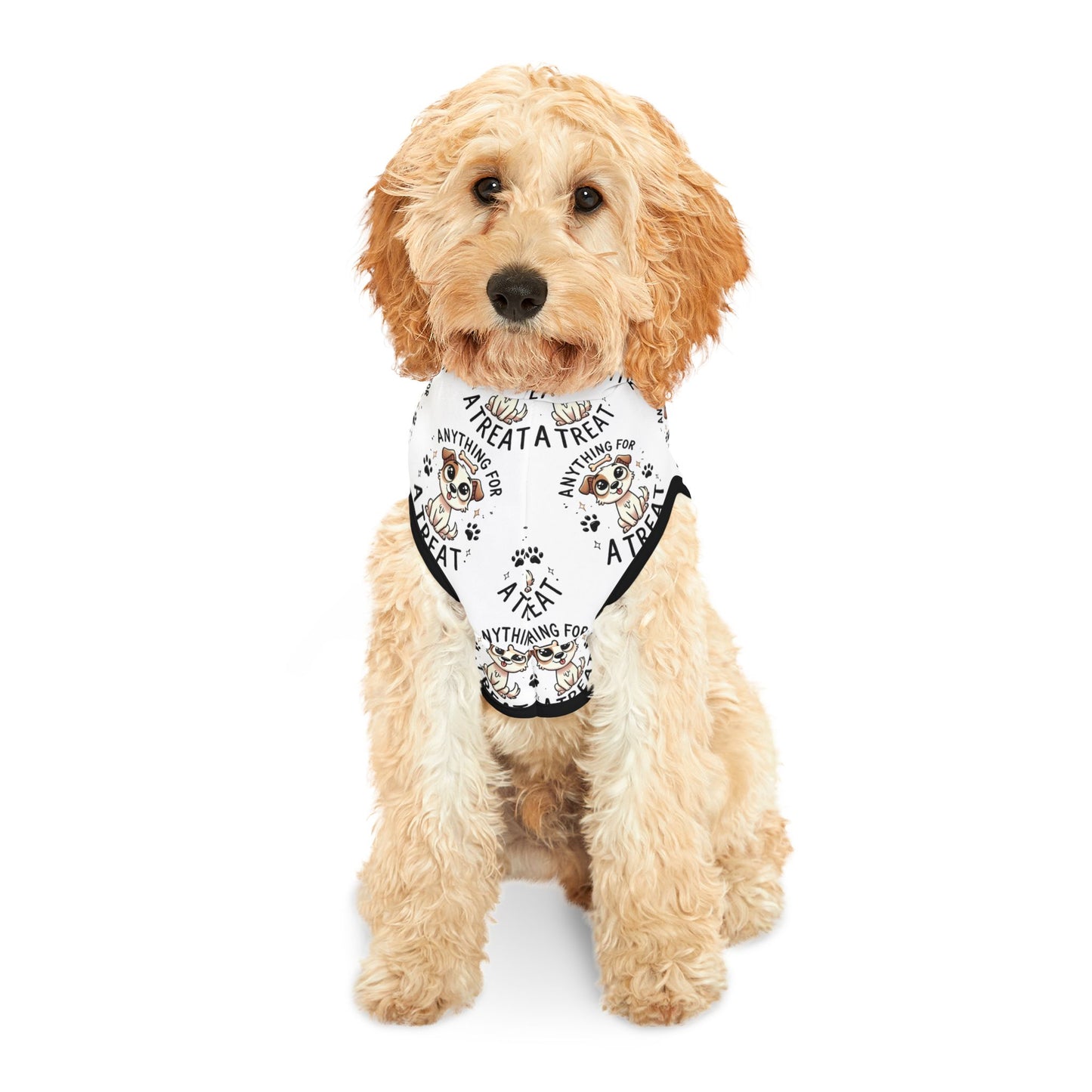 Anything For A Treat Pet Hoodie (1)